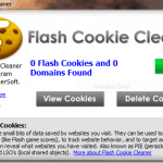 Flash Cookies Explained